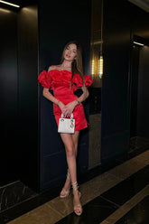 "Meringue" Mini Dress