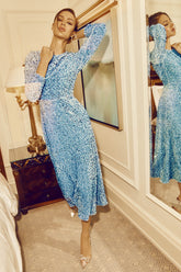 Sequin Decorated Velvet Long Sleeve Midi Dress