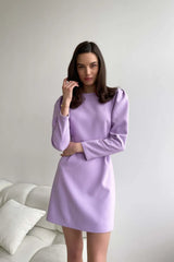 Pleated Long Sleeve Mini Dress