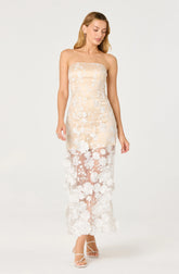 Tanisha Embroidered Floral Strapless Maxi Dress
