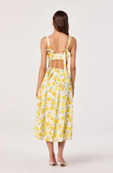 Myria Print Linen A-Line Midi Skirt