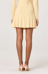 Tehya Pointelle Knit Pleated Skirt