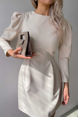 Pleated Long Sleeve Mini Dress