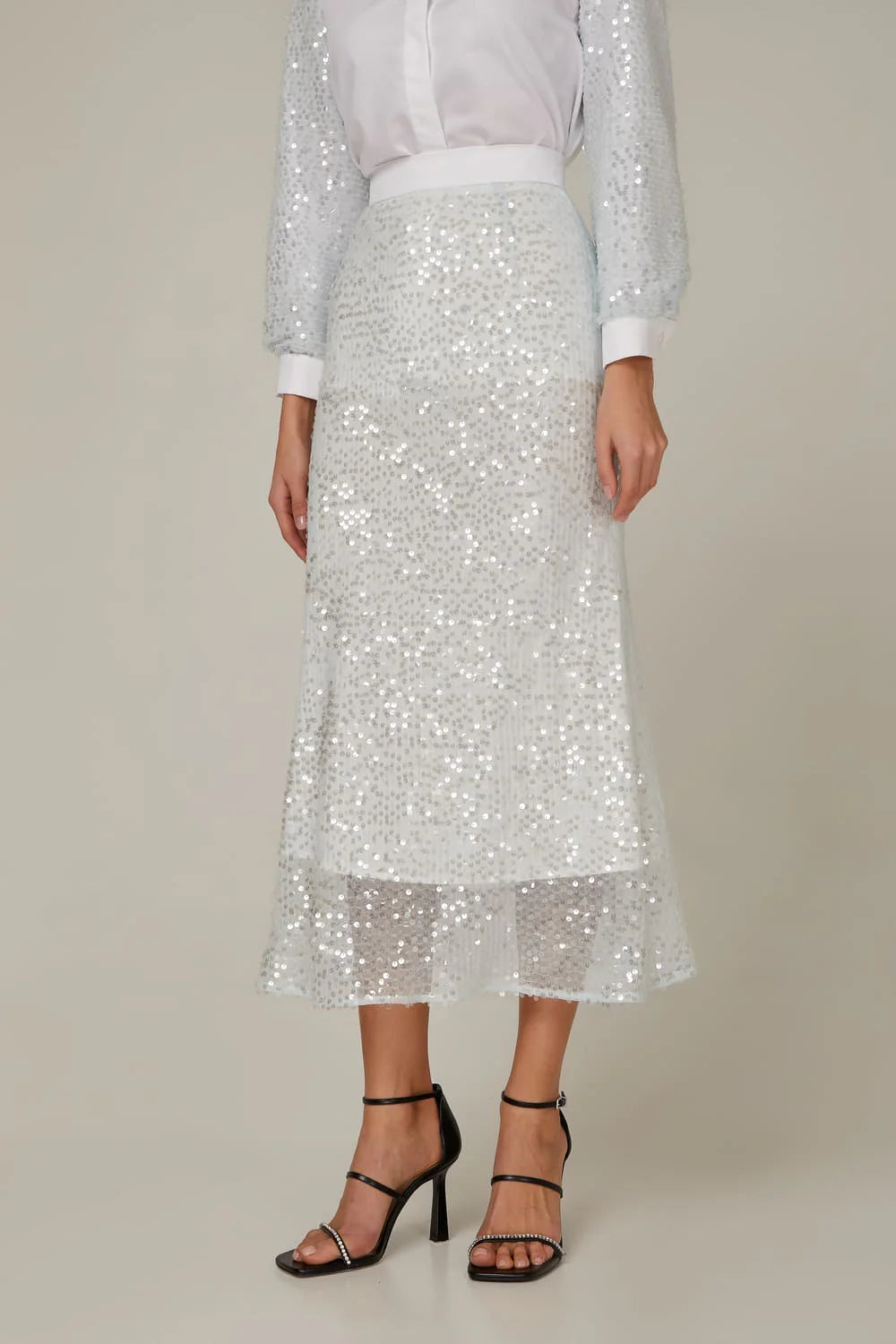 Sequin Skirt