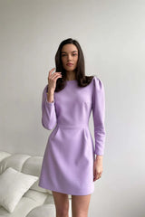 Pleated Long Sleeve Mini Dress